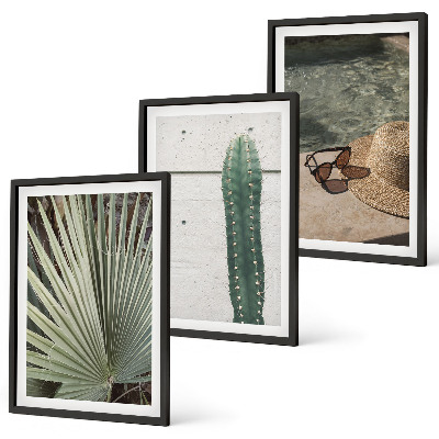 Lot de 3 tableaux pour salon Accessoires pour plantes tropicales