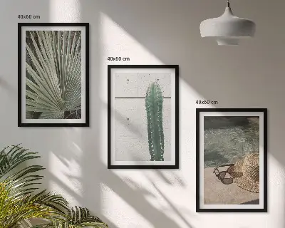 Lot de 3 tableaux pour salon représentant des accessoires pour plantes tropicales