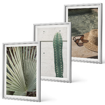 Lot de 3 tableaux pour salon Accessoires pour plantes tropicales