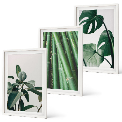 Lot de 3 tableaux pour salon Tiges de bambou et feuilles de monstera