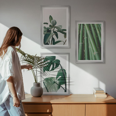 Lot de 3 tableaux pour salon Tiges de bambou et feuilles de monstera