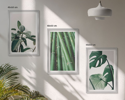 Lot de 3 tableaux pour salon Tiges de bambou et feuilles de monstera