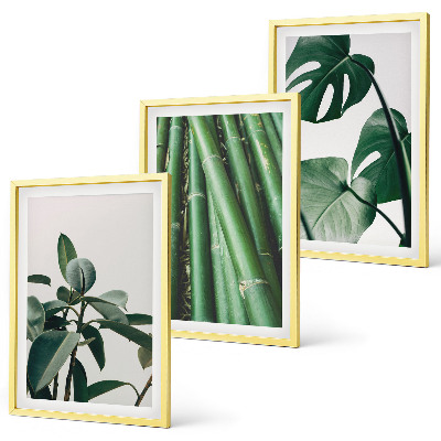 Lot de 3 tableaux pour salon Tiges de bambou et feuilles de monstera