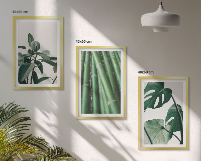 Lot de 3 tableaux pour salon Tiges de bambou et feuilles de monstera
