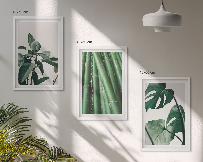 Lot de 3 tableaux pour salon Tiges de bambou et feuilles de monstera