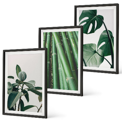 Lot de 3 tableaux pour salon Tiges de bambou et feuilles de monstera