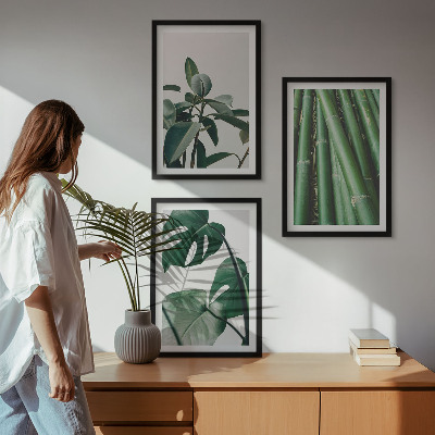 Lot de 3 tableaux pour salon Tiges de bambou et feuilles de monstera