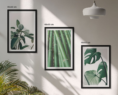 Lot de 3 tableaux pour salon Tiges de bambou et feuilles de monstera