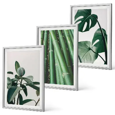 Lot de 3 tableaux pour salon avec motif de tiges de bambou et feuilles de monstera