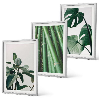 Lot de 3 tableaux pour salon Tiges de bambou et feuilles de monstera