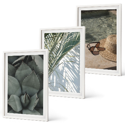 Cadre photo mural Plantes tropicales pour les vacances