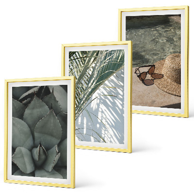 Cadre photo mural Plantes tropicales pour les vacances