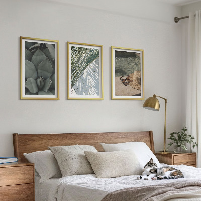 Cadre photo mural Plantes tropicales pour les vacances