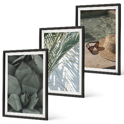 Cadre photo mural Plantes tropicales pour les vacances