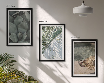Cadre photo mural Plantes tropicales pour les vacances