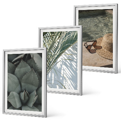 Cadre photo mural Plantes tropicales pour les vacances