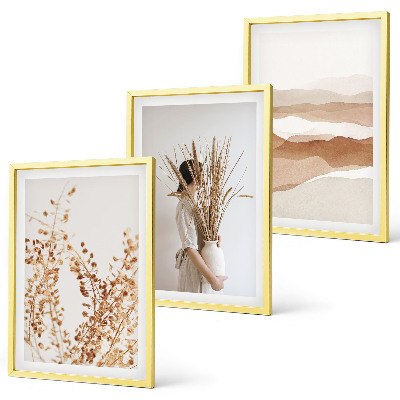 Lot de 3 tableaux pour salon Motifs floraux bohèmes rustiques