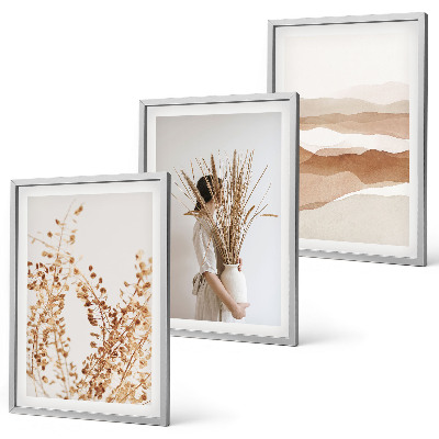 Lot de 3 tableaux pour salon Motifs floraux bohèmes rustiques