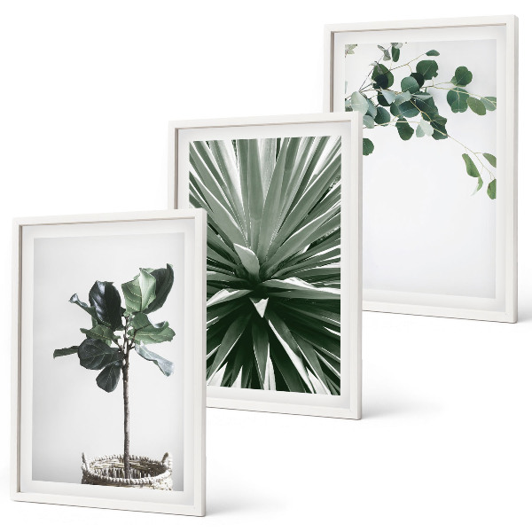 Lot de 3 tableaux pour salon Minimalisme des plantes vertes