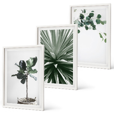 Lot de 3 tableaux pour salon Minimalisme des plantes vertes