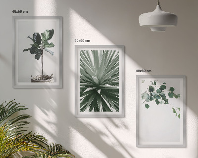 Lot de 3 tableaux pour salon Minimalisme des plantes vertes