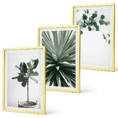 Lot de 3 tableaux pour salon Minimalisme des plantes vertes