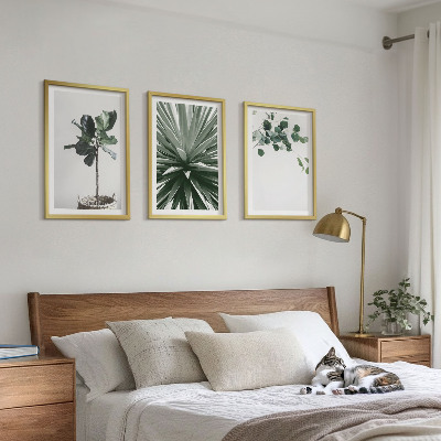 Lot de 3 tableaux pour salon Minimalisme des plantes vertes