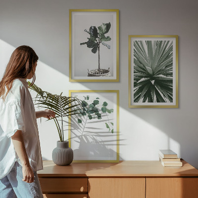 Lot de 3 tableaux pour salon Minimalisme des plantes vertes
