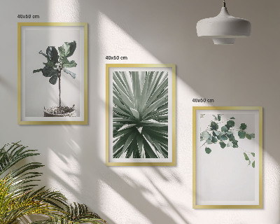 Lot de 3 tableaux pour salon Minimalisme des plantes vertes