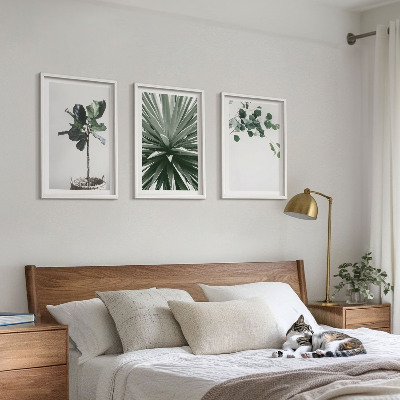Lot de 3 tableaux pour salon Minimalisme des plantes vertes
