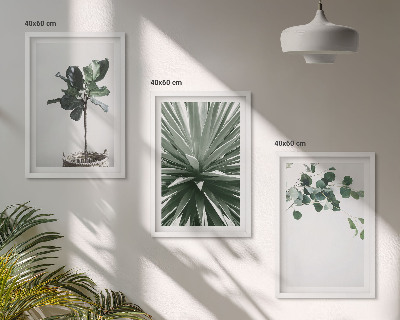 Lot de 3 tableaux pour salon Minimalisme des plantes vertes