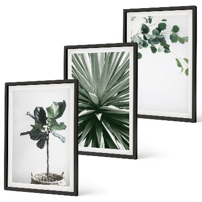 Lot de 3 tableaux pour salon Minimalisme des plantes vertes