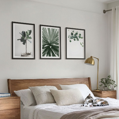 Lot de 3 tableaux pour salon Minimalisme des plantes vertes
