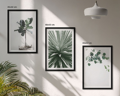 Lot de 3 tableaux pour salon Minimalisme des plantes vertes