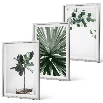 Lot de 3 tableaux pour salon Minimalisme des plantes vertes