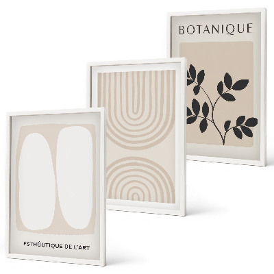 Lot de 3 tableaux pour salon Affiches bohèmes délicates sur les plantes