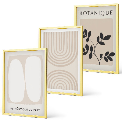 Lot de 3 tableaux pour salon Affiches bohèmes délicates sur les plantes