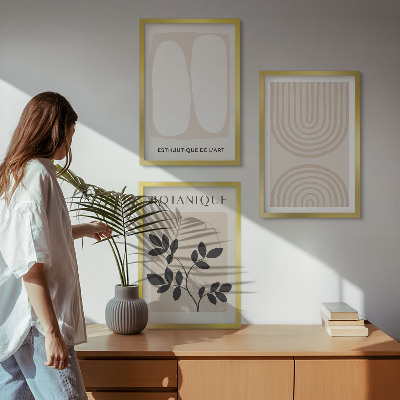 Lot de 3 tableaux pour salon Affiches bohèmes délicates sur les plantes