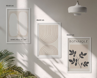 Lot de 3 tableaux pour salon Affiches bohèmes délicates sur les plantes