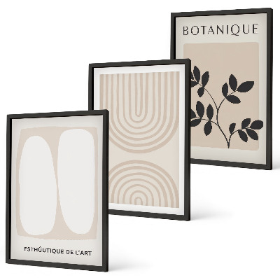 Lot de 3 tableaux pour salon Affiches bohèmes délicates sur les plantes
