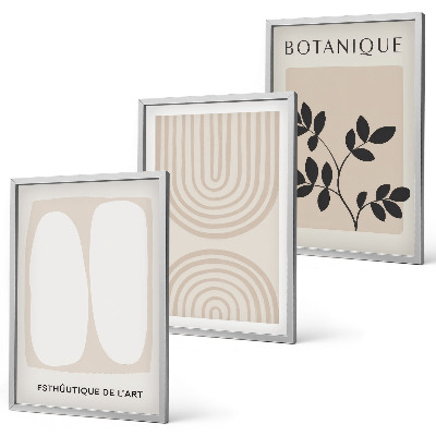 Lot de 3 tableaux pour salon Affiches bohèmes délicates sur les plantes