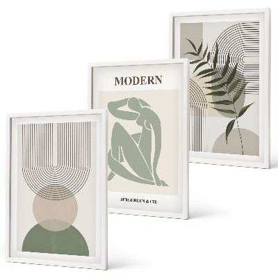 Lot de 3 tableaux pour salon Graphismes végétaux stylés