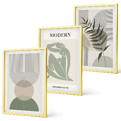 Lot de 3 tableaux pour salon avec graphismes végétaux stylés