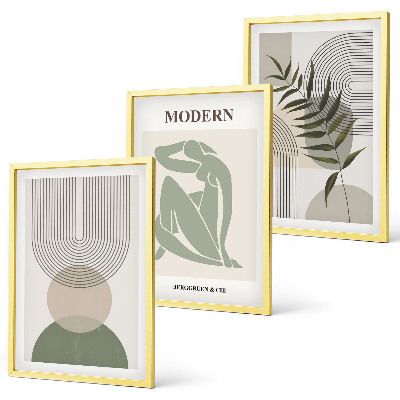 Lot de 3 tableaux pour salon Graphismes végétaux stylés