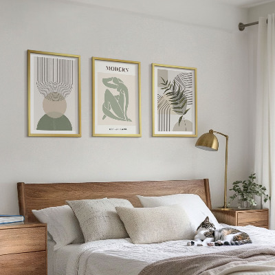 Lot de 3 tableaux pour salon Graphismes végétaux stylés