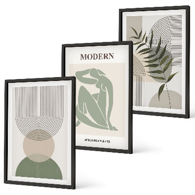 Lot de 3 tableaux pour salon Graphismes végétaux stylés