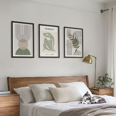 Lot de 3 tableaux pour salon Graphismes végétaux stylés