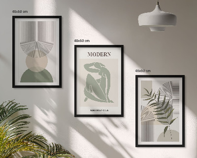 Lot de 3 tableaux pour salon Graphismes végétaux stylés