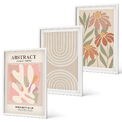 Lot de 3 tableaux pour salon Formes végétales abstraites