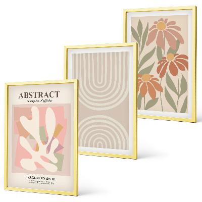 Lot de 3 tableaux pour salon Formes végétales abstraites